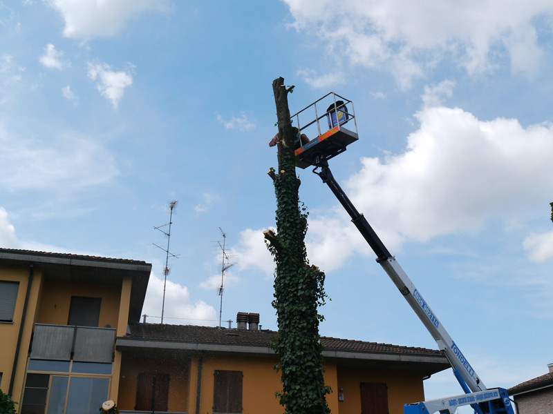 Manutenzione Giardini